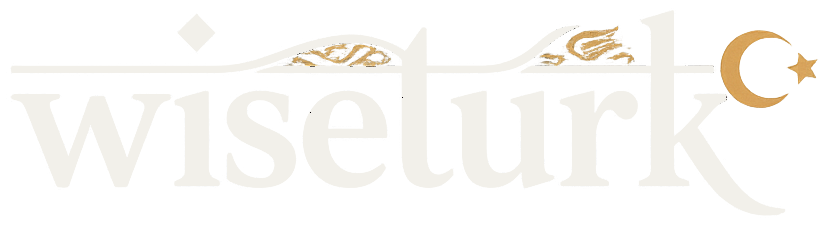 WiseTurk Dış Ticaret Danışmanlığı