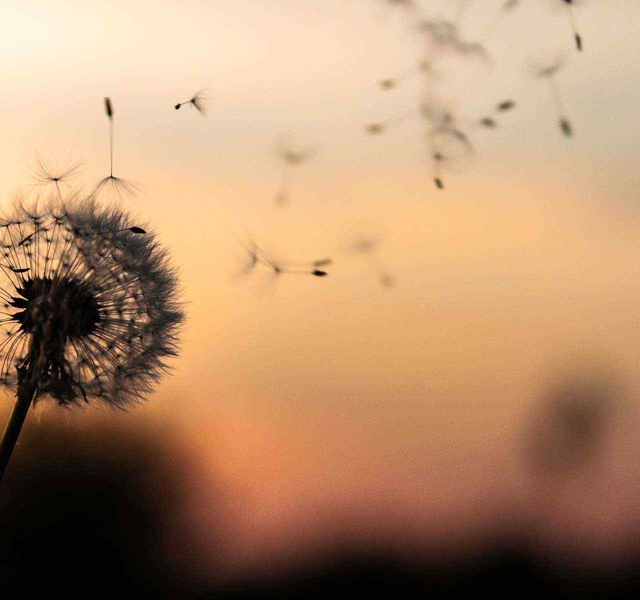 https://wiseturk.com/wp-content/uploads/2018/09/post_02-1280x1200.jpg