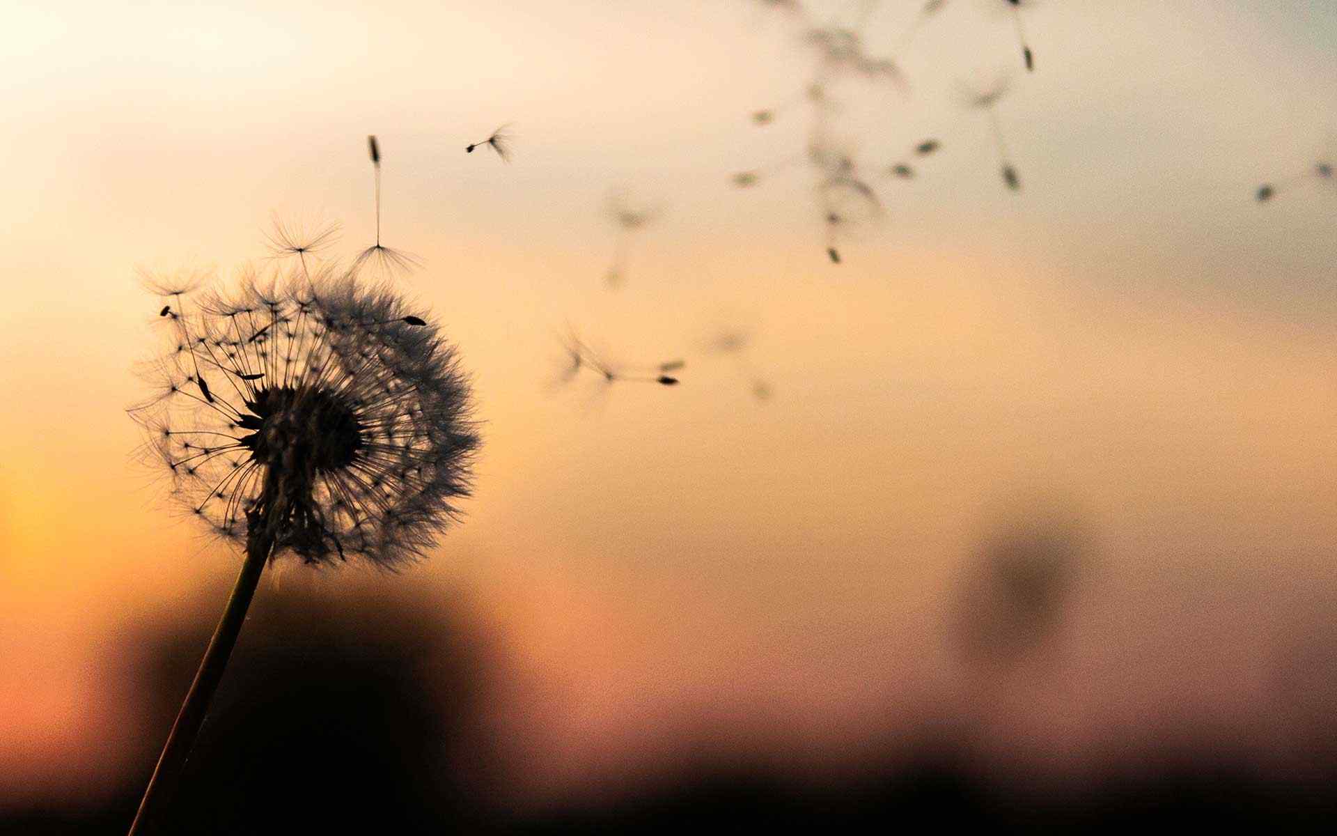 https://wiseturk.com/wp-content/uploads/2018/09/post_02.jpg